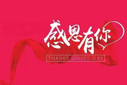 感恩节最新爆料,揭秘年度盛事背后的感人故事